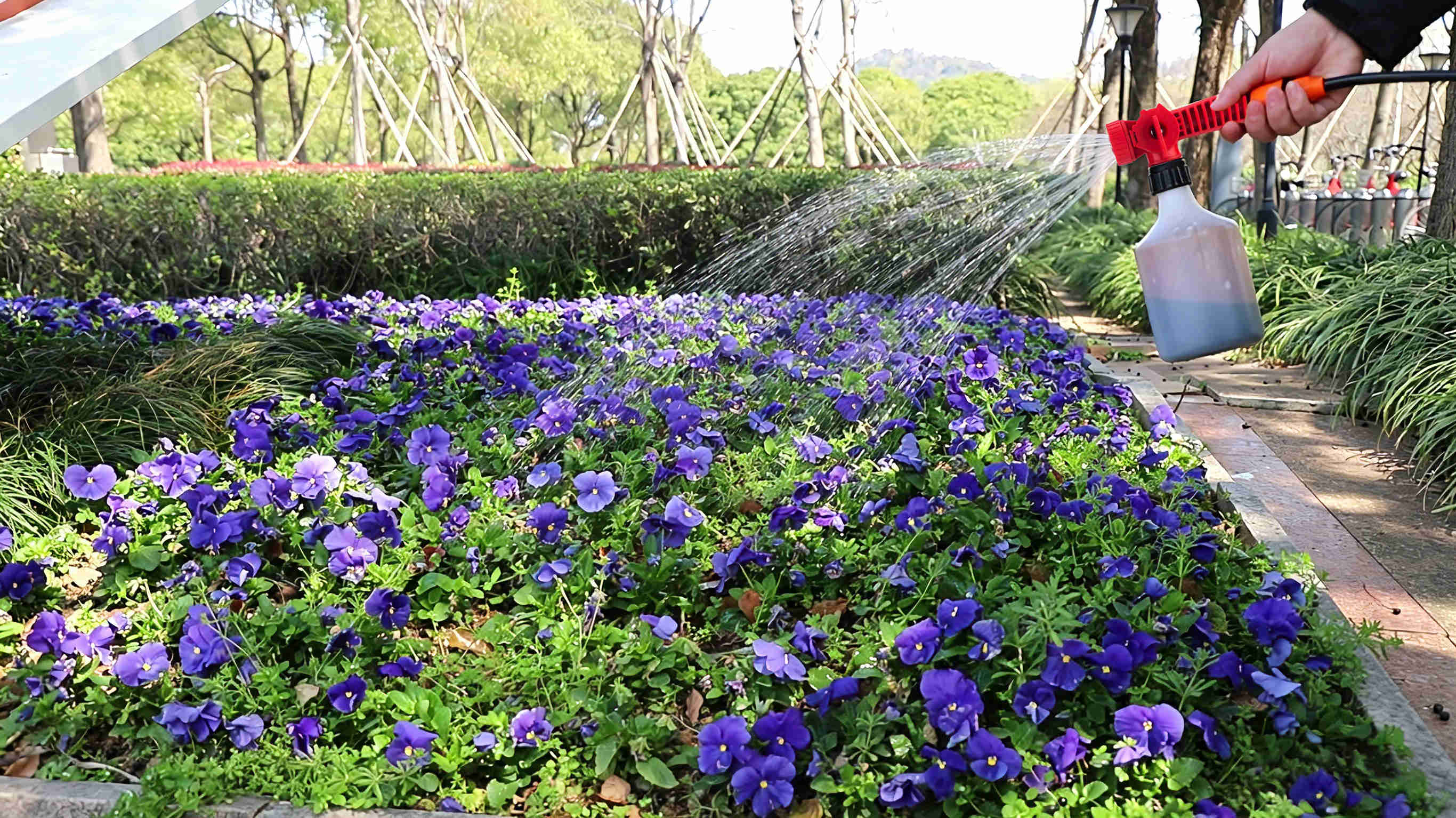 Garten- und Pflanzenpflege