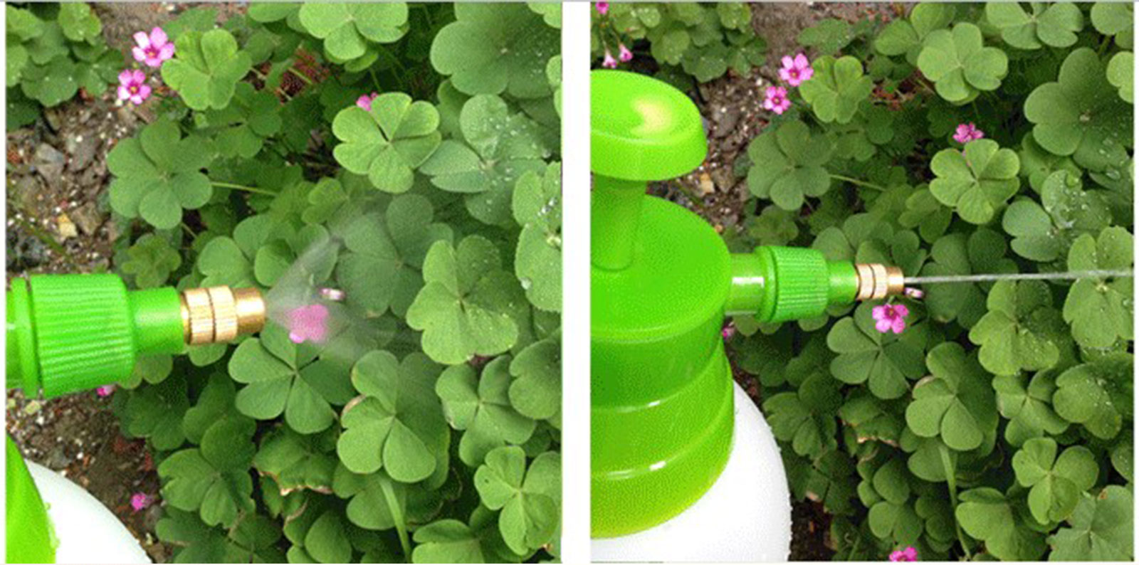 1,5 l Garten-Druckpumpensprüher für die Bewässerung, Hausreinigung und Autowäsche