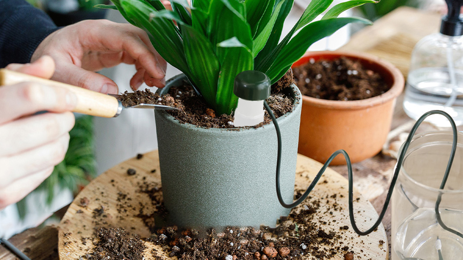 Automatischer Pflanzenbewässerer für Innen- und Außenpflanzen, Gartenbewässerungssystem (klein)
